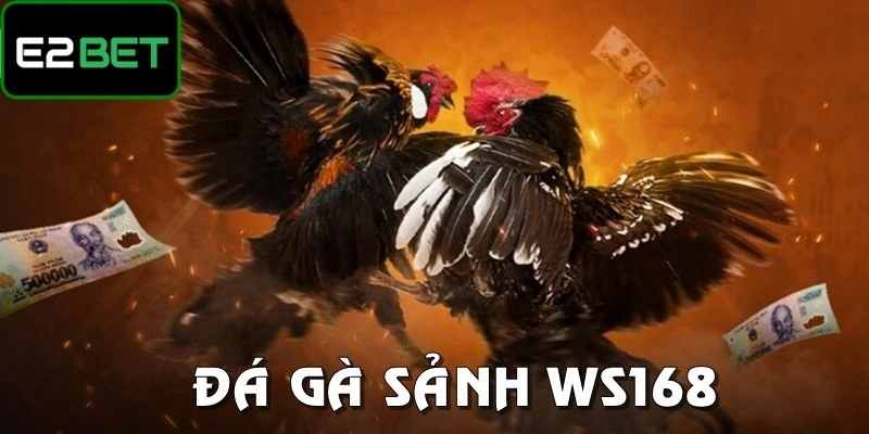 Sảnh WS168 là địa chỉ chơi đá gà chất lượng tại E2BET