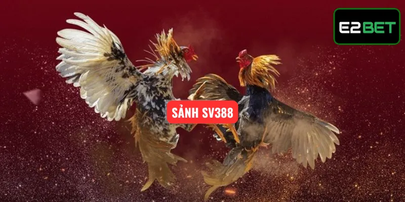 Sảnh SV388