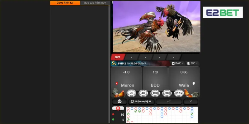 Đá Gà E2BET có odds thưởng xanh chín