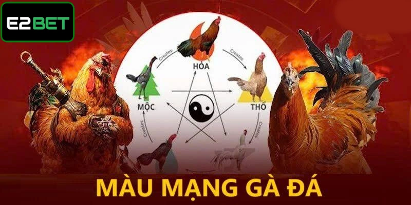 Màu mạng gà đá là căn cứ để lựa chọn thời điểm và chiến kê ra trận tốt